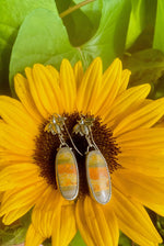 Load image into Gallery viewer, Bumblebee Jasper Earrings
